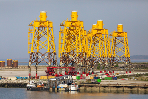 Désinsectisation dératisation Cherbourg-en-Cotentin